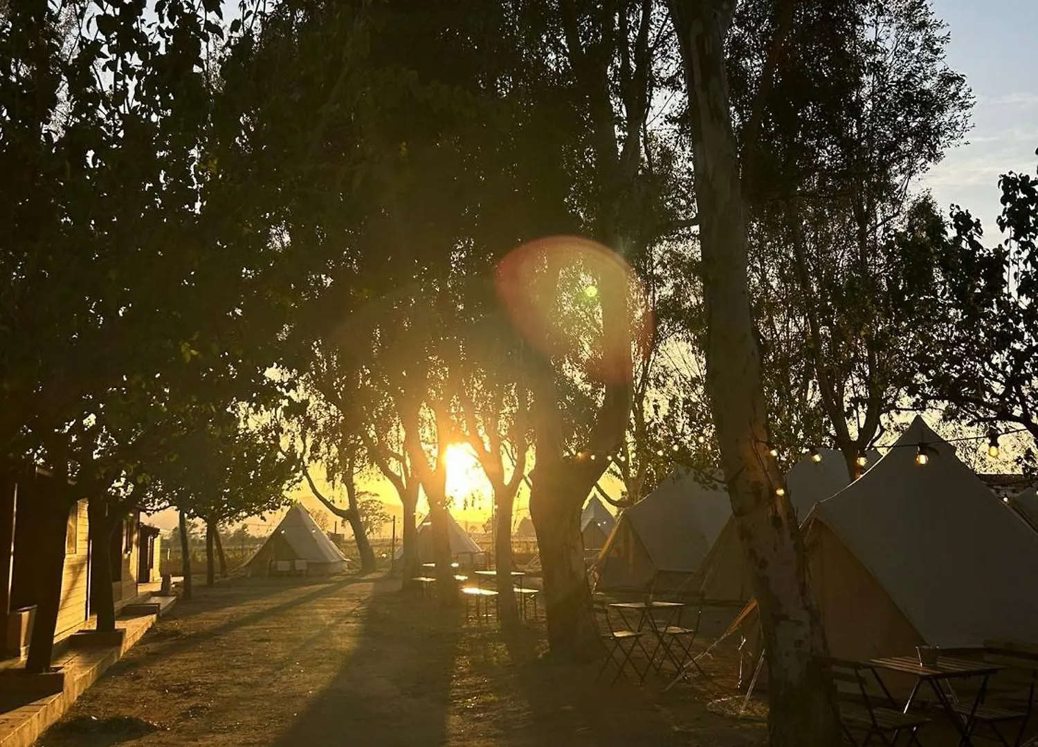 Camping Delta Natura La Tancada Amposta España